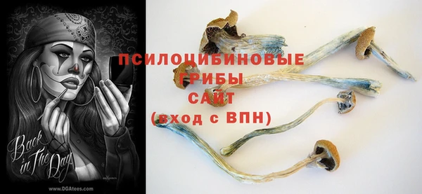 ПСИЛОЦИБИНОВЫЕ ГРИБЫ Балахна